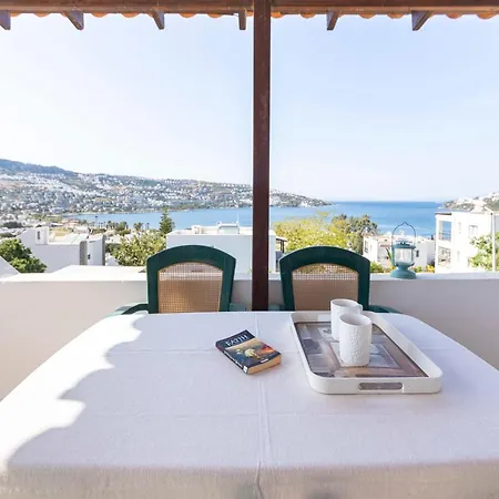 Triplex With An Amazing View